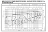 NSCS 65-160/185/P25VCC4 - График насоса NSC, 4 полюса, 2990 об., 50 гц - картинка 3